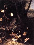 SCHRIECK, Otto Marseus van Still-life with Plants and Reptiles ery